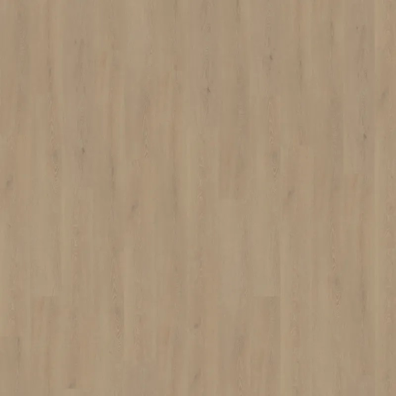 Cervo 210 | Rigid Click