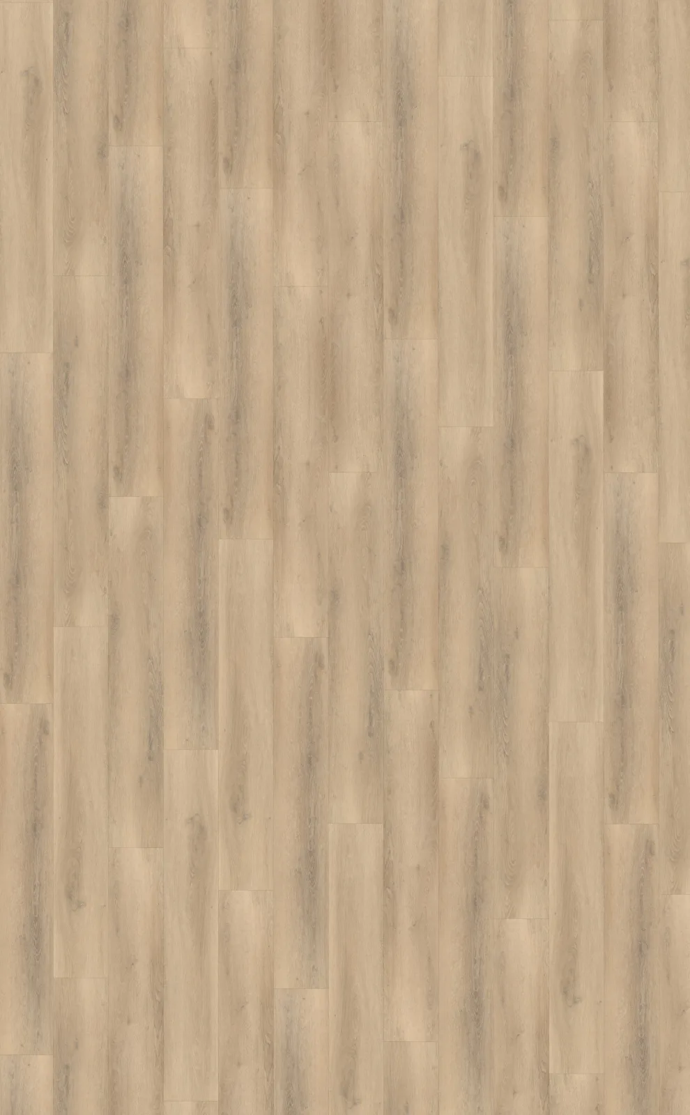 Palazzo 750 Rigid Click