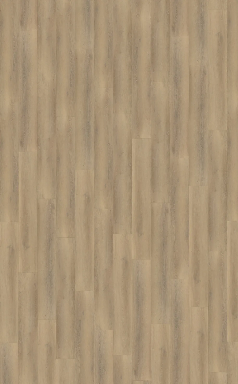 Palazzo 760 | Rigid Click